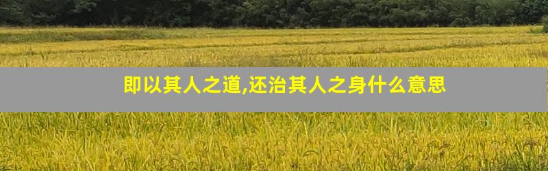 即以其人之道,还治其人之身什么意思