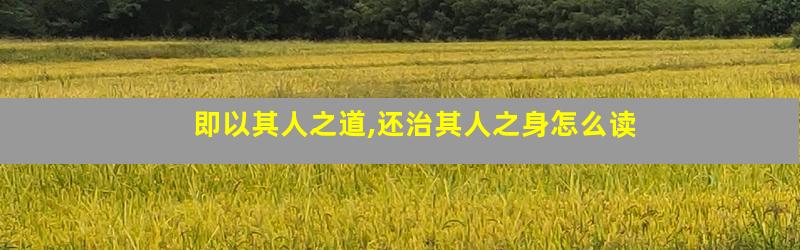 即以其人之道,还治其人之身怎么读