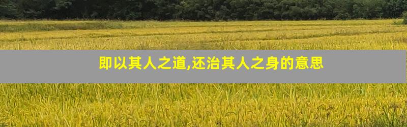 即以其人之道,还治其人之身的意思
