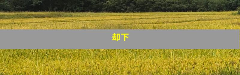 却下