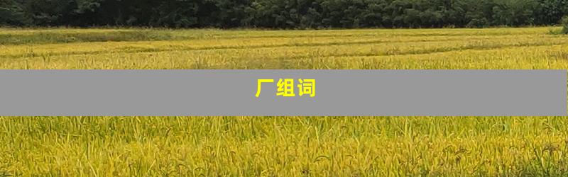 厂组词