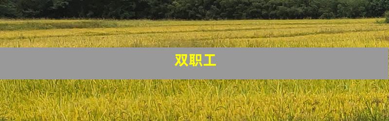 双职工