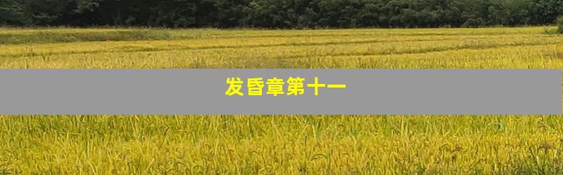 发昏章第十一
