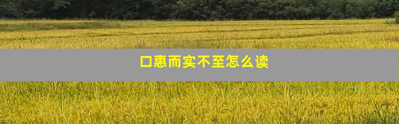 口惠而实不至怎么读
