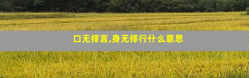 口无择言,身无择行什么意思