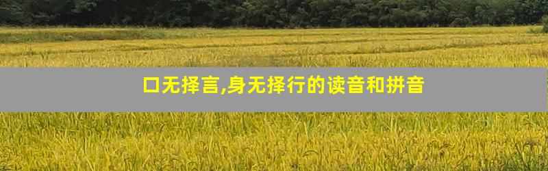 口无择言,身无择行的读音和拼音