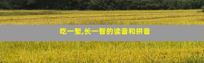 吃一堑,长一智的读音和拼音
