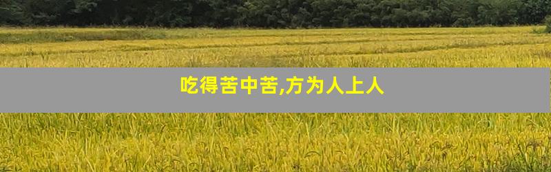 吃得苦中苦,方为人上人