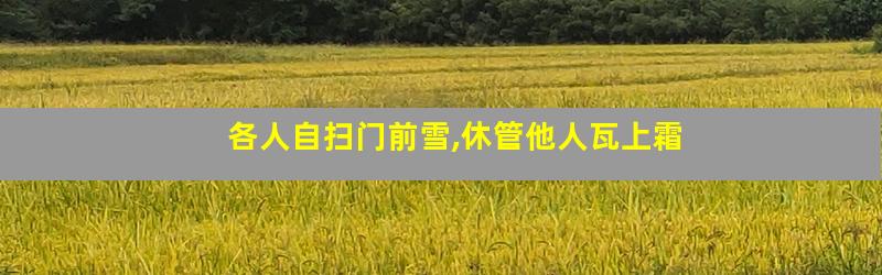 各人自扫门前雪,休管他人瓦上霜