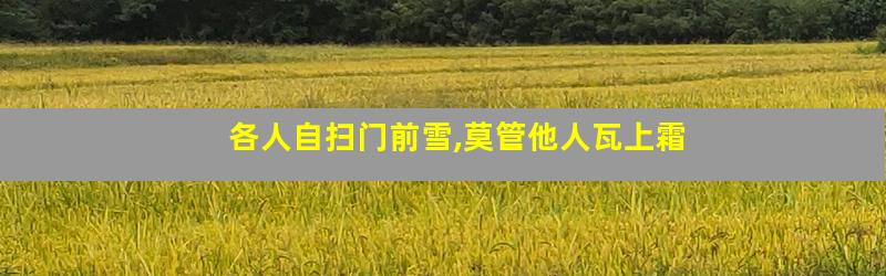 各人自扫门前雪,莫管他人瓦上霜