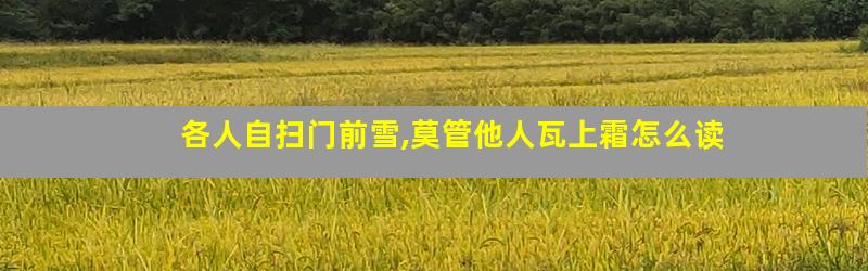 各人自扫门前雪,莫管他人瓦上霜怎么读