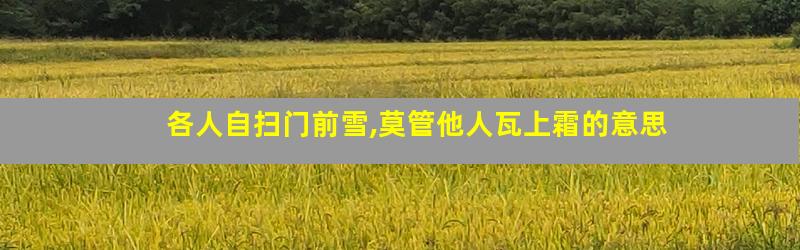 各人自扫门前雪,莫管他人瓦上霜的意思