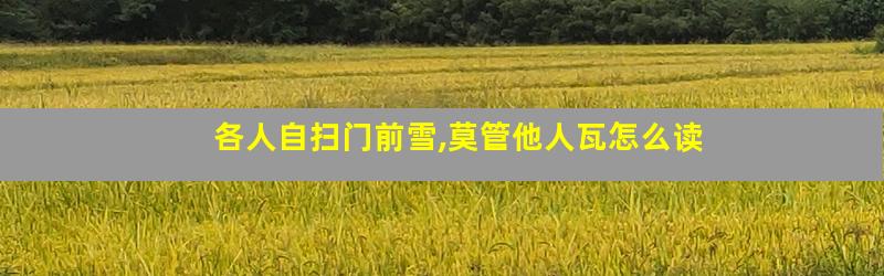 各人自扫门前雪,莫管他人瓦怎么读