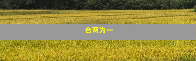 合两为一