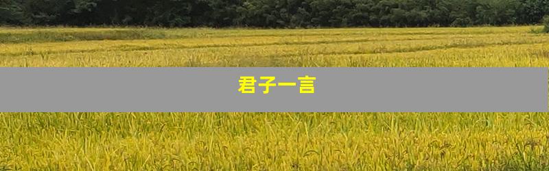君子一言