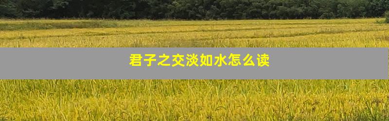 君子之交淡如水怎么读
