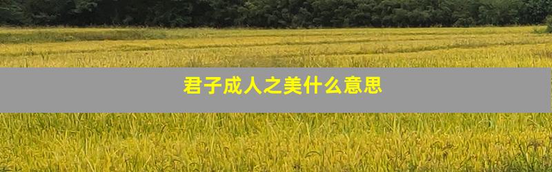 君子成人之美什么意思