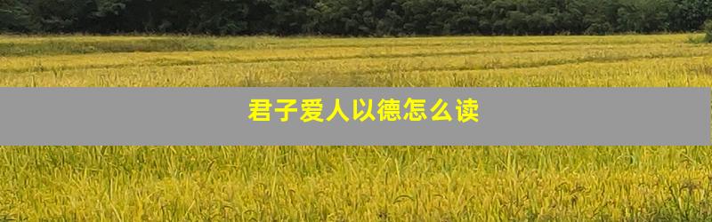 君子爱人以德怎么读