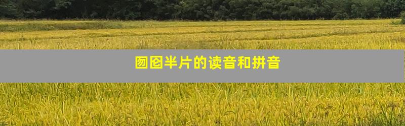 囫囵半片的读音和拼音