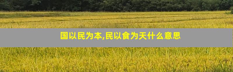 国以民为本,民以食为天什么意思