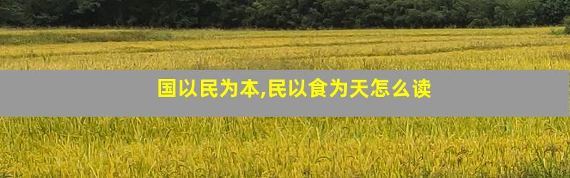 国以民为本,民以食为天怎么读