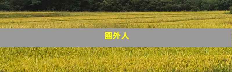 圈外人