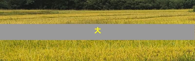大