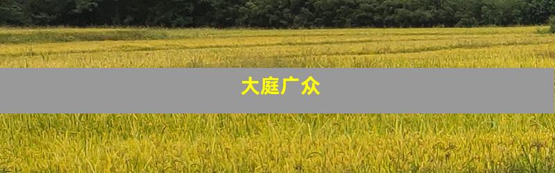 大庭广众