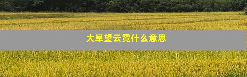 大旱望云霓什么意思
