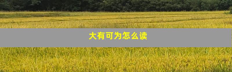 大有可为怎么读