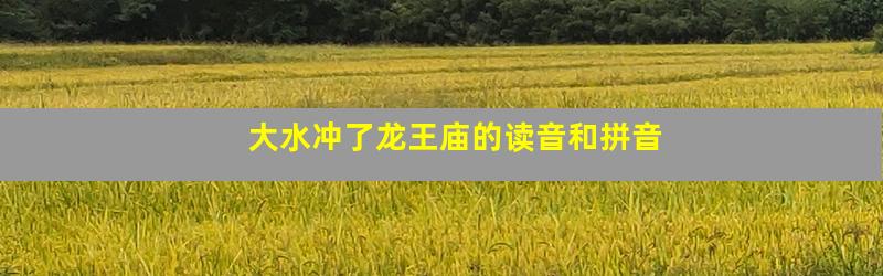 大水冲了龙王庙的读音和拼音