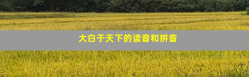 大白于天下的读音和拼音