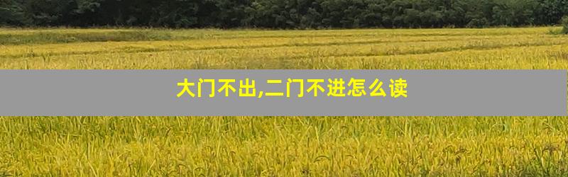 大门不出,二门不进怎么读