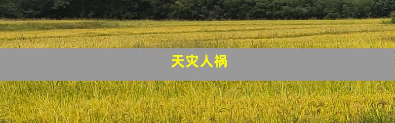 天灾人祸