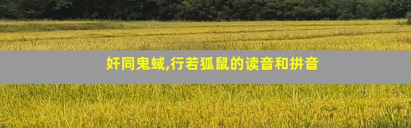 奸同鬼蜮,行若狐鼠的读音和拼音