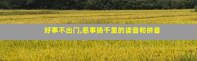 好事不出门,恶事扬千里的读音和拼音