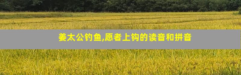姜太公钓鱼,愿者上钩的读音和拼音