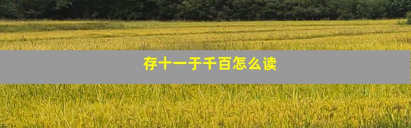 存十一于千百怎么读