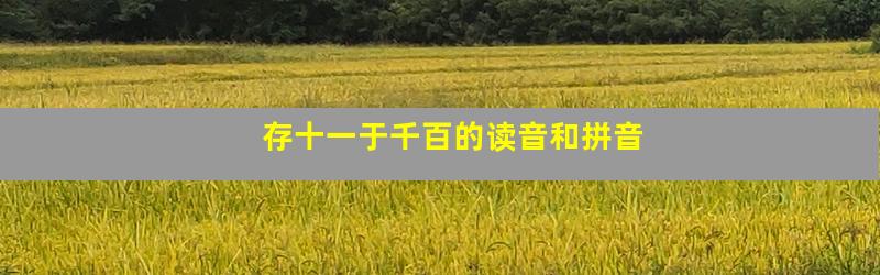 存十一于千百的读音和拼音