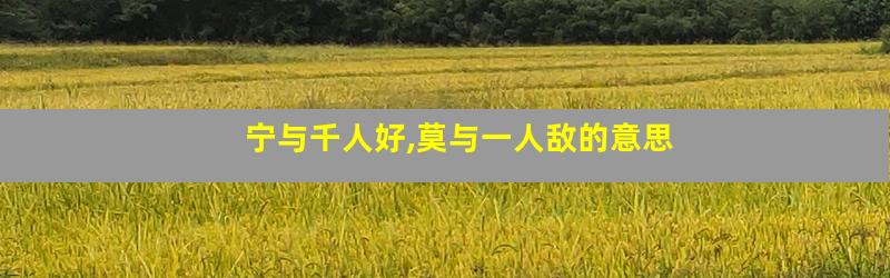 宁与千人好,莫与一人敌的意思