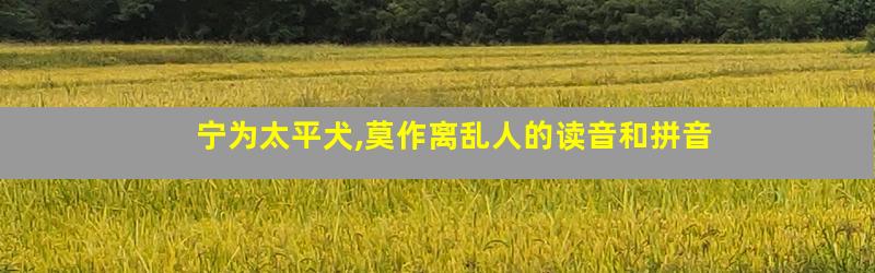 宁为太平犬,莫作离乱人的读音和拼音
