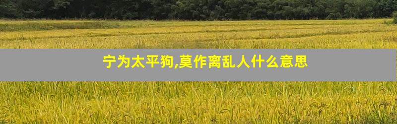 宁为太平狗,莫作离乱人什么意思