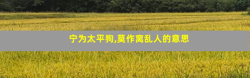 宁为太平狗,莫作离乱人的意思