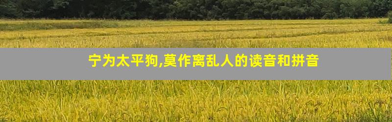 宁为太平狗,莫作离乱人的读音和拼音