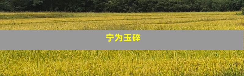 宁为玉碎
