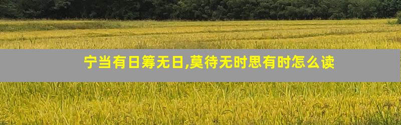 宁当有日筹无日,莫待无时思有时怎么读