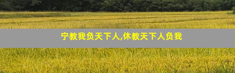 宁教我负天下人,休教天下人负我