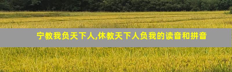 宁教我负天下人,休教天下人负我的读音和拼音
