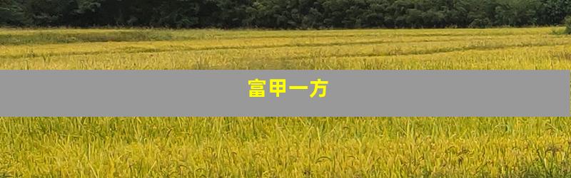 富甲一方