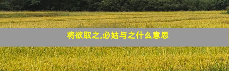 将欲取之,必姑与之什么意思